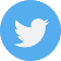 twitter-icon-img